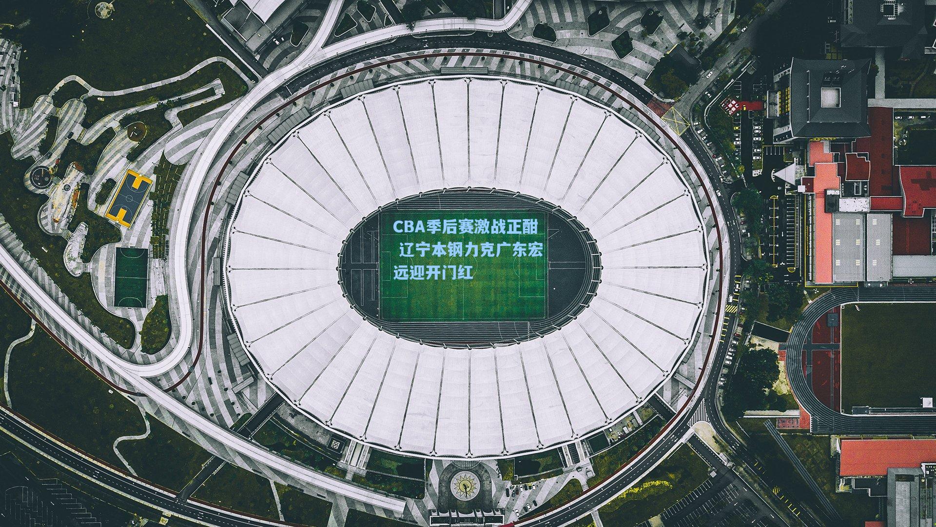 CBA季后赛激战正酣 辽宁本钢力克广东宏远迎开门红