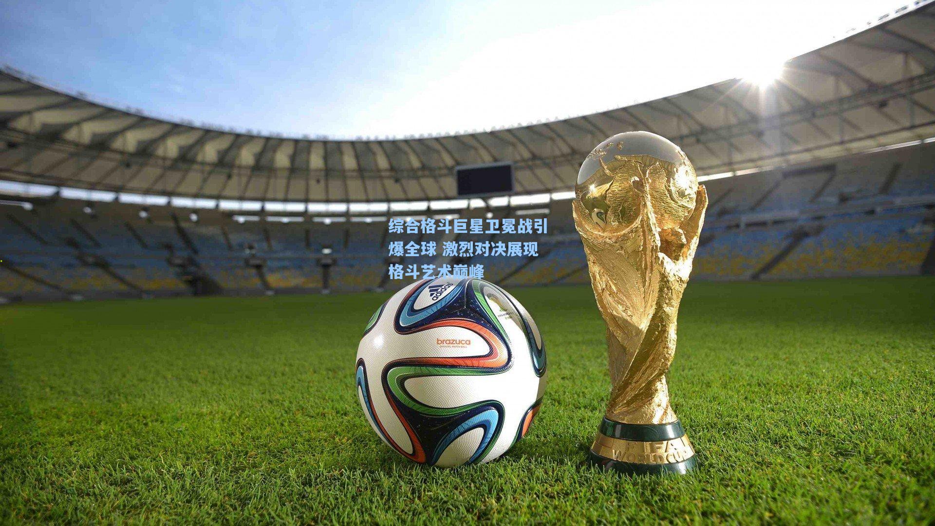 综合格斗巨星卫冕战引爆全球 激烈对决展现格斗艺术巅峰