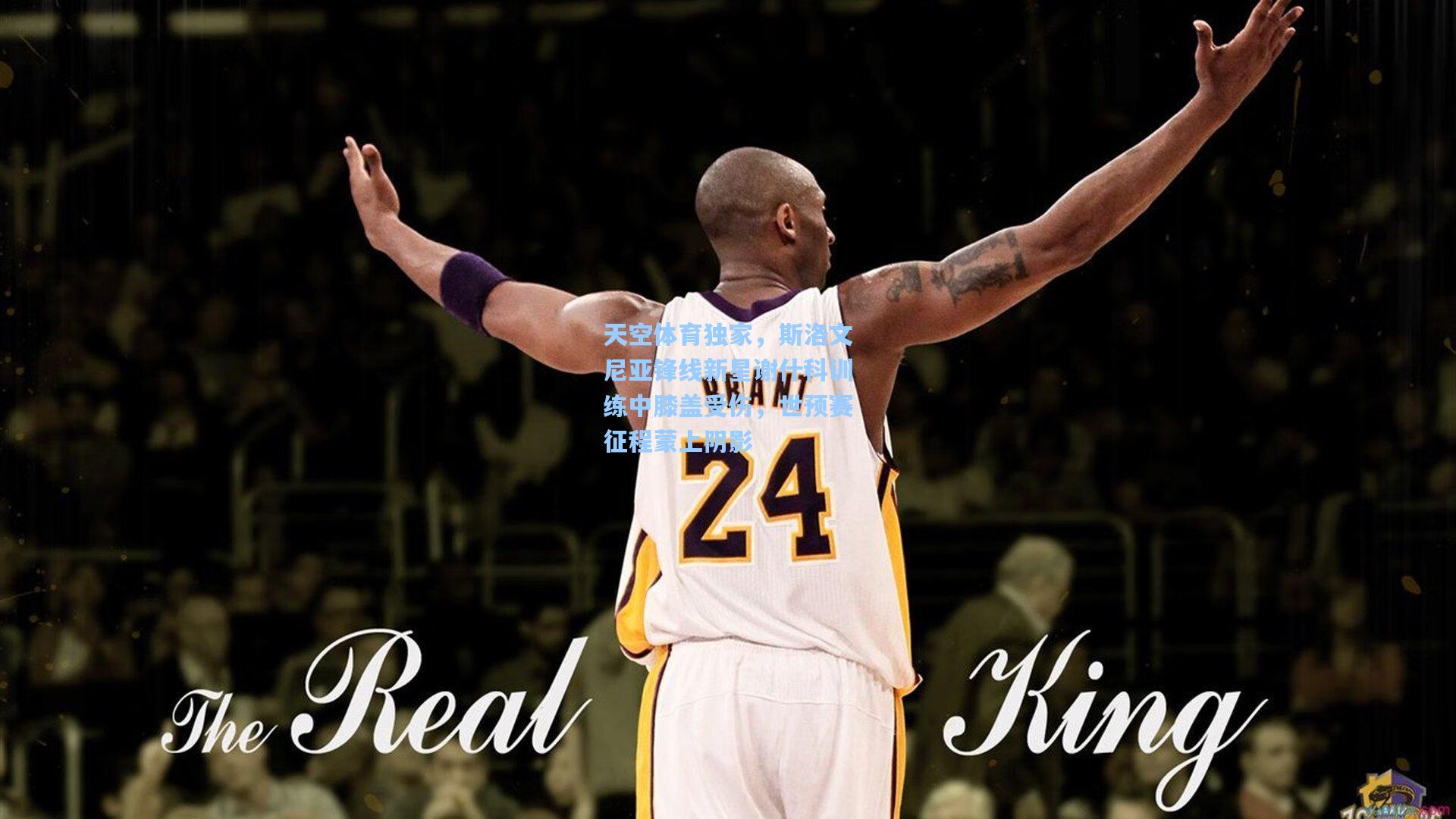 天空体育独家,斯洛文尼亚锋线新星谢什科训练中膝盖受伤,世预赛征程蒙上阴影